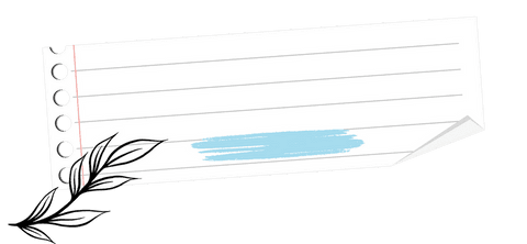 Minimalist lined paper with leaf doodle and brushstroke on transparent background