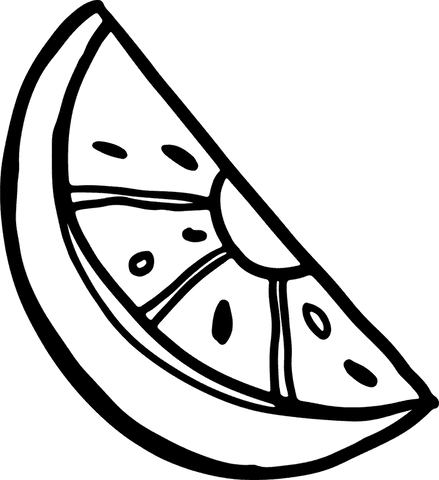 Transparent citrus wedge illustration in black outline