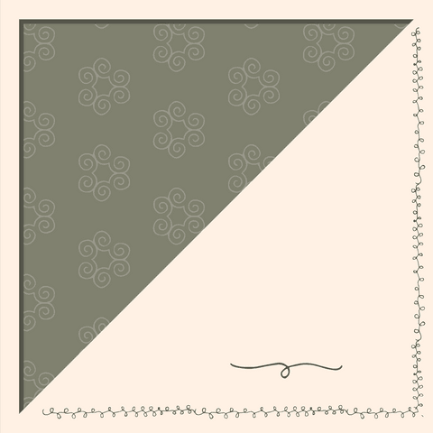 Decorative transparent duo-tone pattern with elegant borders