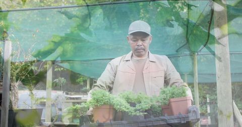 Man Tending Plants in Garden Under Greenhouse Nets