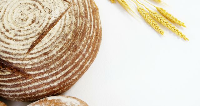 Freshly Baked Italian Round Rye Bread Loaf with Wheat Ears - Download Free Stock Images Pikwizard.com