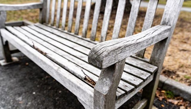 Weathered wooden bench revealing cracked slats and split armrest on paved park path