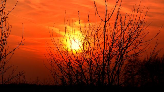 Captivating view of a red sunset casting vibrant colors across the sky with tree branches silhouetted against the light. Ideal for use in nature-related blogs, websites, and magazines to convey serenity, the beauty of dusk, or seasonal themes.