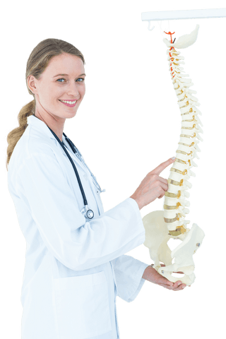 female doctor explains anatomical spine model transparent background - Download Free Stock Videos Pikwizard.com