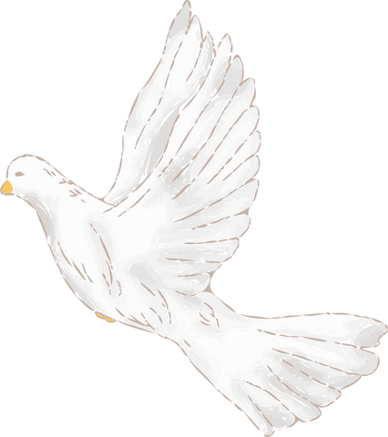 White dove flying against transparent background with sketchy style