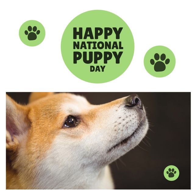 Happy National Puppy Day Celebration with Cute Dog - Download Free Stock Templates Pikwizard.com