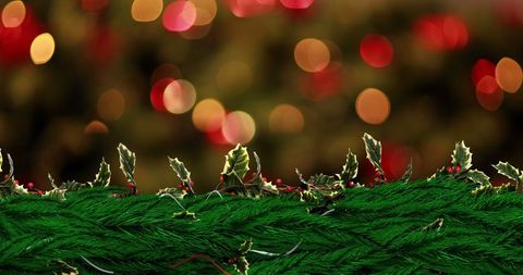 Festive Christmas Holly with Colorful Bokeh Lights - Download Free Stock Images Pikwizard.com
