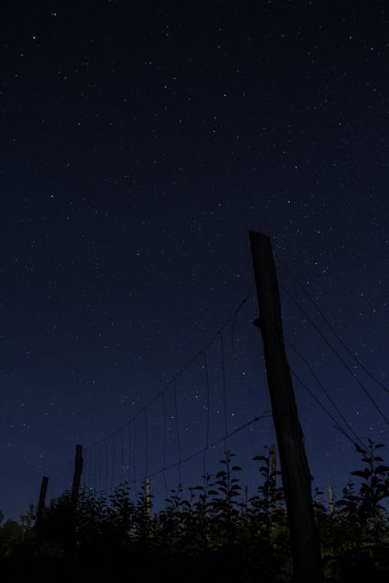 Starlit Night Sky Over Silhouetted Farm Fence - Download Free Stock Photos Pikwizard.com