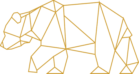 Golden Geometric Bear Silhouette on Transparent Background - Download Free Stock Videos Pikwizard.com