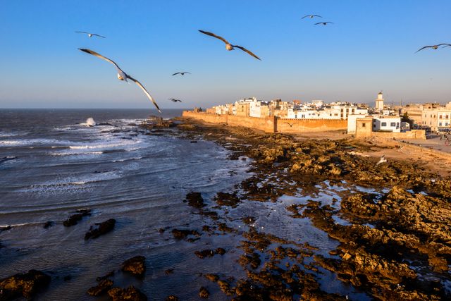 Seagulls flying over a rugged, rocky coastline with gentle ocean waves and a distant view of a seaside town illuminated by the warm sunset light. Ideal for travel websites, tourism brochures, and nature-related content highlighting coastal beauty and serene seascapes.