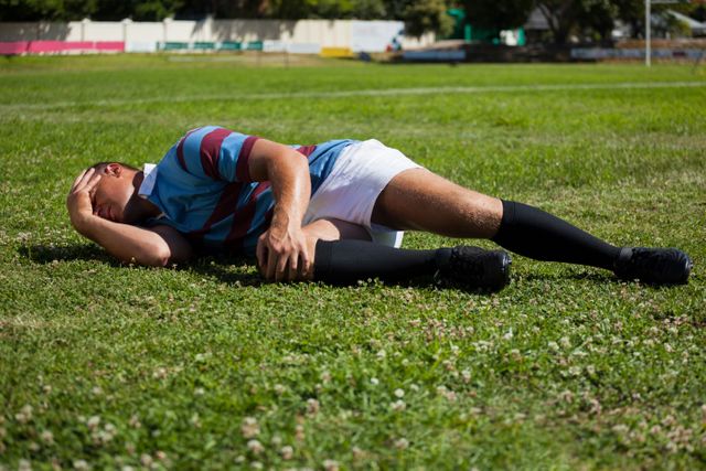 Rugby player lying on grass field holding head in pain. Useful for illustrating sports injuries, athlete recovery, or physical health in team sports. Can be used in articles about sports safety, injury prevention, or athletic training.