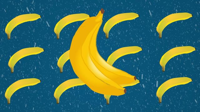 This illustration shows bright, cartoon-style bananas against a backdrop of falling snowflakes. The engaging contrast between the summery fruit and the wintery snowflakes creates a cheerful visual. Perfect for social media posts, digital interfaces, or blog illustrations where playful and lively designs are needed. Ideal for seasonal marketing materials mixing unexpected elements.