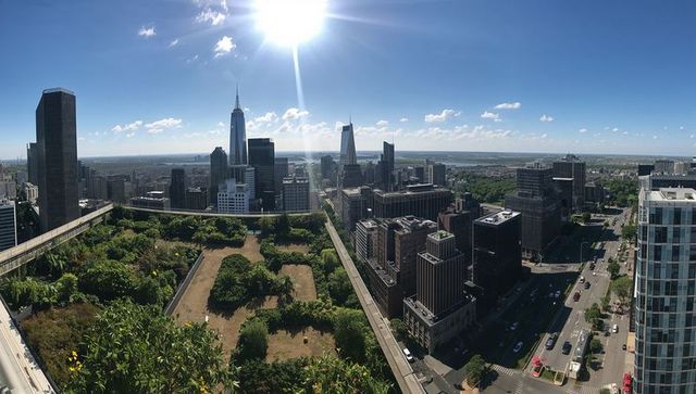 Rooftop terrace garden with urban skyline under bright sunlight
