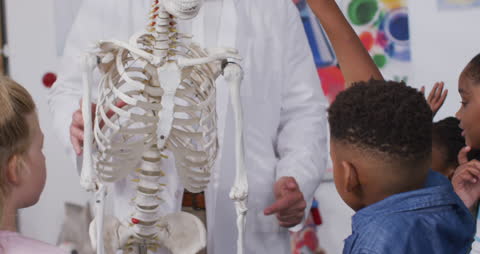 Teacher Explaining Human Skeleton Model to Diverse Students