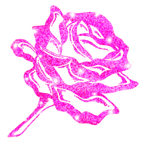 Sparkling pink rose with starbursts on transparent background