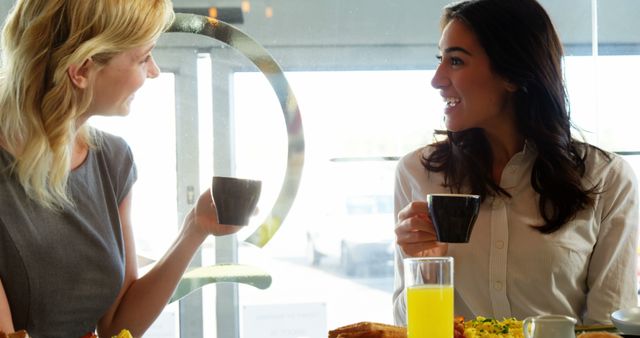 Two Women Enjoying Coffee and Conversation at Café - Download Free Stock Images Pikwizard.com