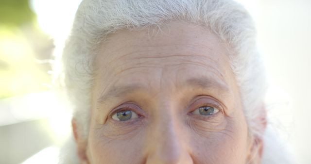 Old Woman's Eyes Captured Up Close - Download Free Stock Images Pikwizard.com