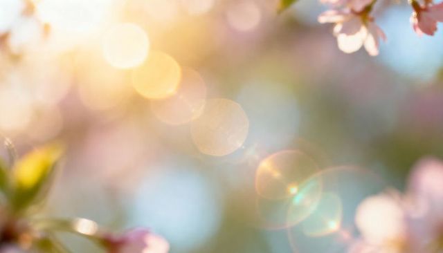 Dreamy Sunlit Pink Blossom Bokeh with Warm Lens Flare for Spring Floral Background