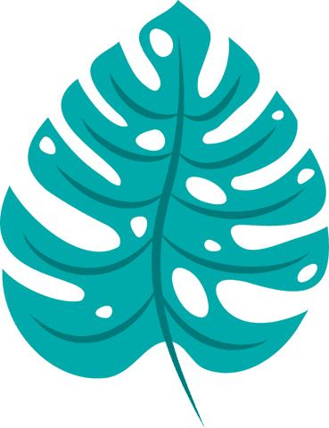 Stylized Transparent Monstera Leaf Illustration on Clear Background - Download Free Stock Videos Pikwizard.com