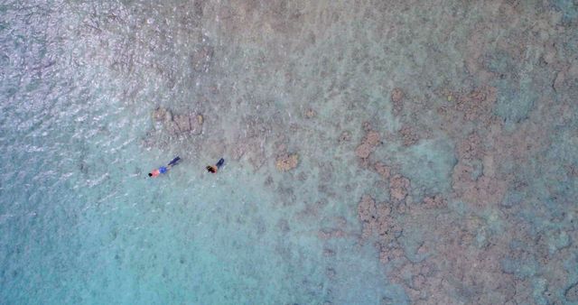 Aerial View of People Snorkeling Over Coral Reef in Clear Blue Water - Download Free Stock Images Pikwizard.com