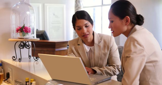 Hotel Concierge Assisting Female Guest with Laptop - Download Free Stock Images Pikwizard.com