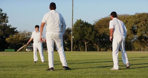 Diverse Male Cricket Team Practicing Batting and Fielding on Sunny Grass Pitch During Evening Sessio