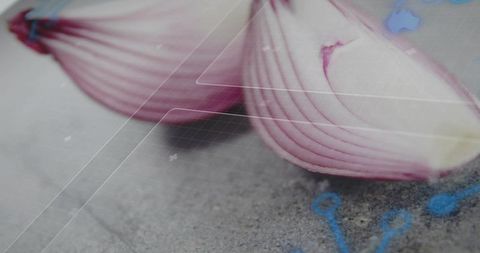 Minimal macro red onion half on concrete with digital grid and circuit overlay texture
