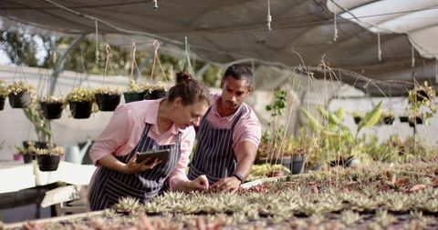 Diverse Team Examining Succulents at Nursery with Tablet
