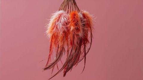 Elegant decorative dreamcatcher feathers against pink background