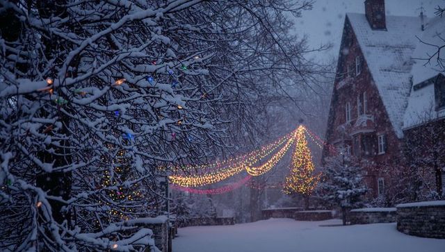Festive string lights draping snowy plaza with conical tree beside brick building at dusk