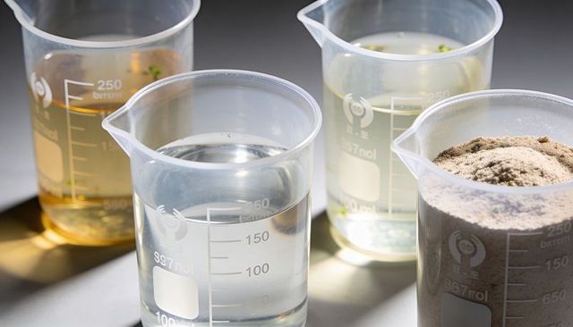 Holding 250ml beakers with clear, amber, cloudy liquids and powder on laboratory bench