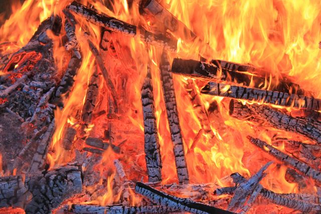 Close-Up of Intense Campfire Flames and Burning Wood - Download Free Stock Photos Pikwizard.com