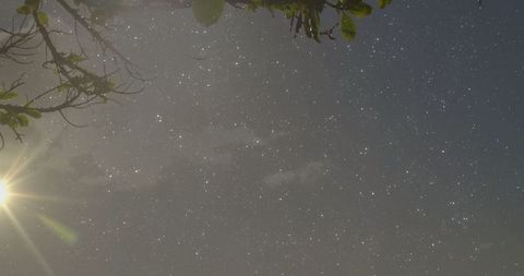 Tranquil night sky with stars and moon lens flare in woodland