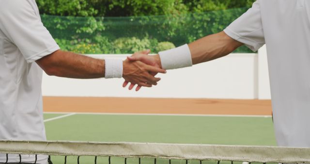 Tennis players engaging in a handshake displaying good sportsmanship after a match on an outdoor green tennis court. Ideal for illustrating themes of teamwork, competition, and sportsmanship in sports-related content.