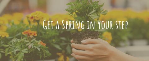 Springtime Growth and Renewal with Blooming Flowers