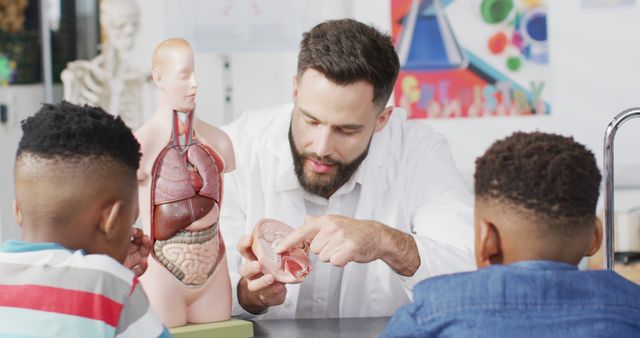 Male teacher explaining anatomy model to young students in classroom. Concepts include education, childhood learning, and science classes. Ideal for use in educational material or science content.