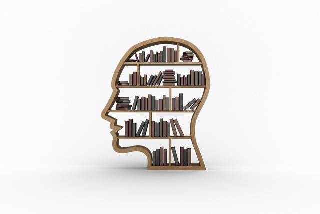 Human Head Shaped Bookshelves with Books on Transparent Background - Download Free Stock Videos Pikwizard.com