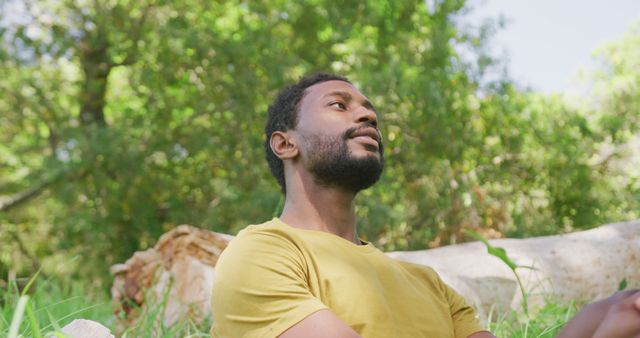 Man Enjoying Nature Sitting in Green Forest - Download Free Stock Images Pikwizard.com