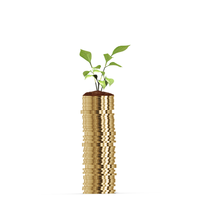 Transparent Coins Stack with Growing Plant - Download Free Stock Videos Pikwizard.com