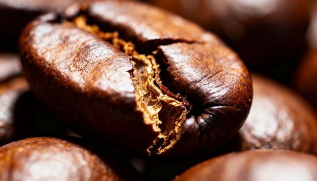 Cracked roasted coffee bean revealing fibrous interior macro closeup with oil sheen, dark roast