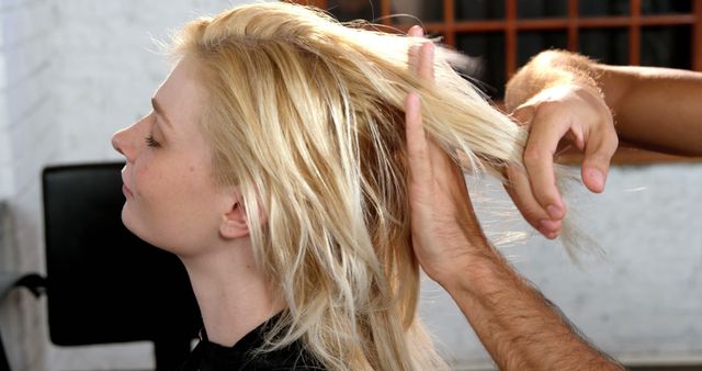 Stylist Preparing Blonde Hair for Haircut - Download Free Stock Images Pikwizard.com