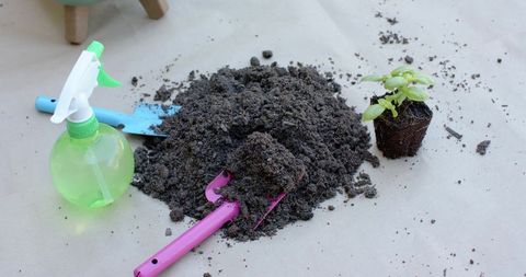 Potting mix and seedling on craft paper with pink scoop, blue trowel and green sprayer