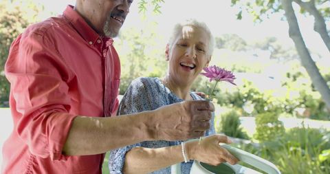 Happy Senior Couple Gardening in Sunlit Home Garden