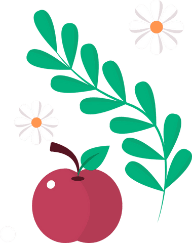 Botanical illustration with fruit and flowers on transparent background