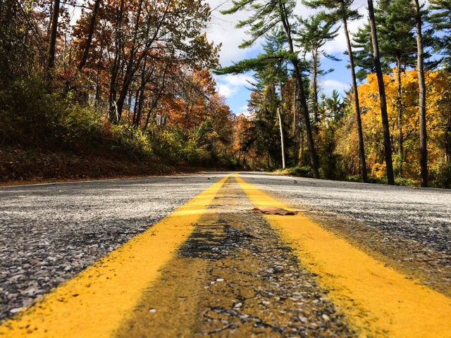 Low angle view of a countryside road during autumn, featuring bright yellow lines, surrounded by colorful fall foliage. This image highlights the beauty of the outdoors and is ideal for use in travel brochures, articles about road trips, nature photography showcases, or autumn-themed design projects.