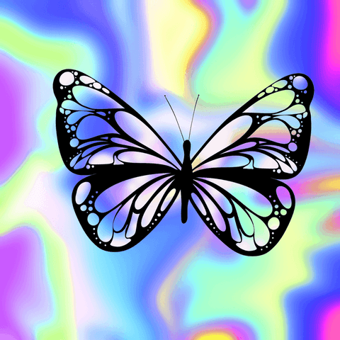 Colorful Butterfly Silhouette on Psychedelic Transparent Pastel Background - Download Free Stock Videos Pikwizard.com