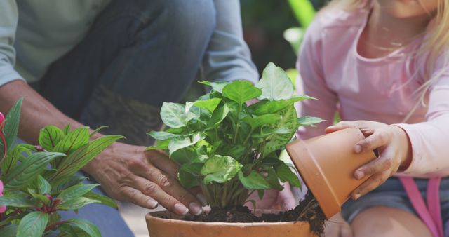 Parent and child planting a flower together in garden, highlighting bonding moments and educational value. Suitable for illustrating gardening, family activities, environmental education, nature conservation, outdoor activities, and childhood development.