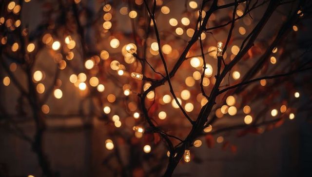 Glowing Warm White Lights Wrapping Bare Branches Creating Amber Bokeh Glow