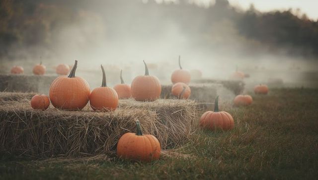Pumpkins Resting on Hay Bales in Misty Countryside