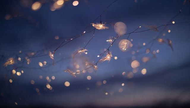Ethereal twilight bokeh with glowing seedheads and fairy lights on delicate branches